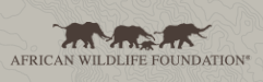 African Wildlife Foundation
