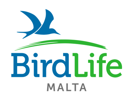 BirdLife Malta