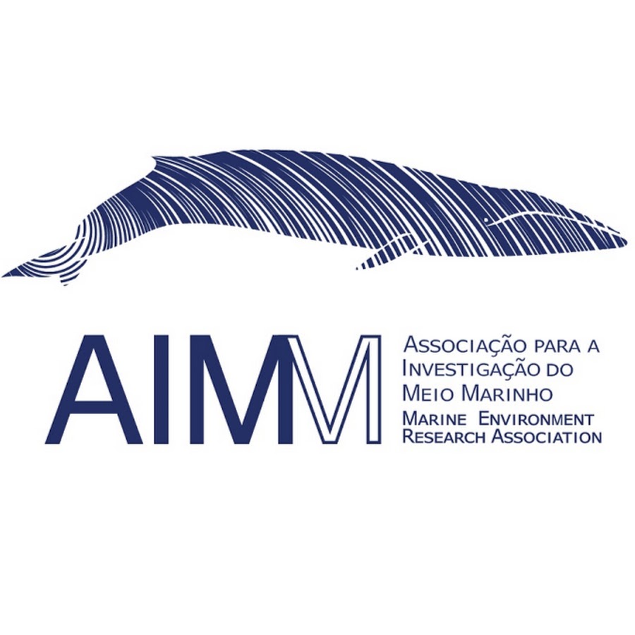 AIMM