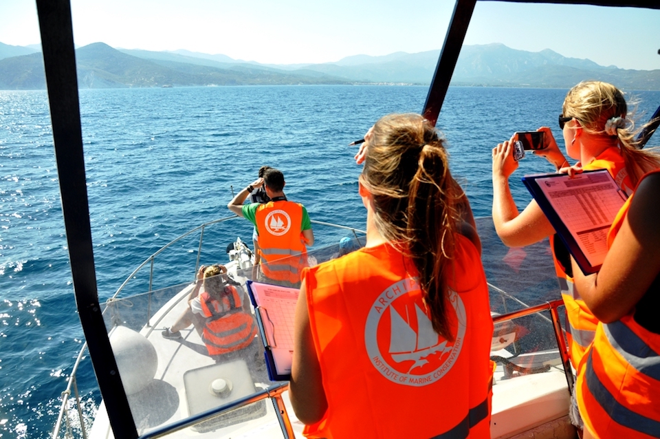 Conservation-interns-on-a-research-boat-with-Archipelagos-Institute-of-Marine-Conservation.