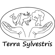 Terra Sylvestris