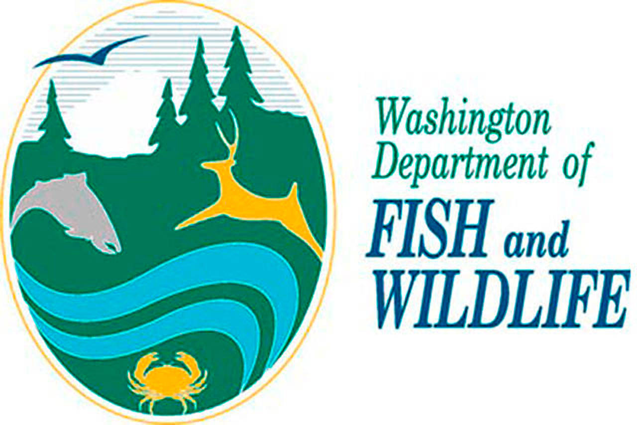 Department of Fish and Wildlife
