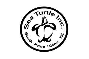 Sea Turtle