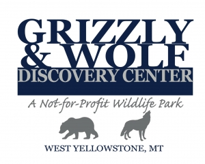 Grizzly & Wolf Discovery Center