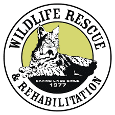 Wildlife Rescue and Rehabilitation