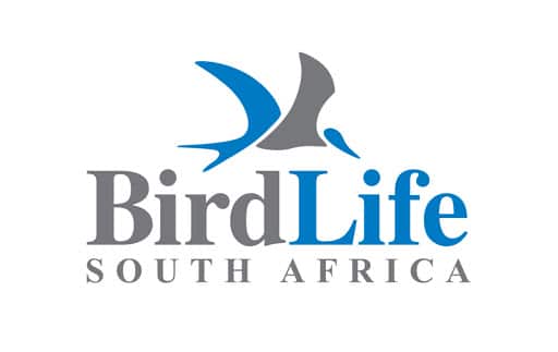 The logo of BirdLife South Africa. Follow this guide to learn how to become an ornithologist and study birds.