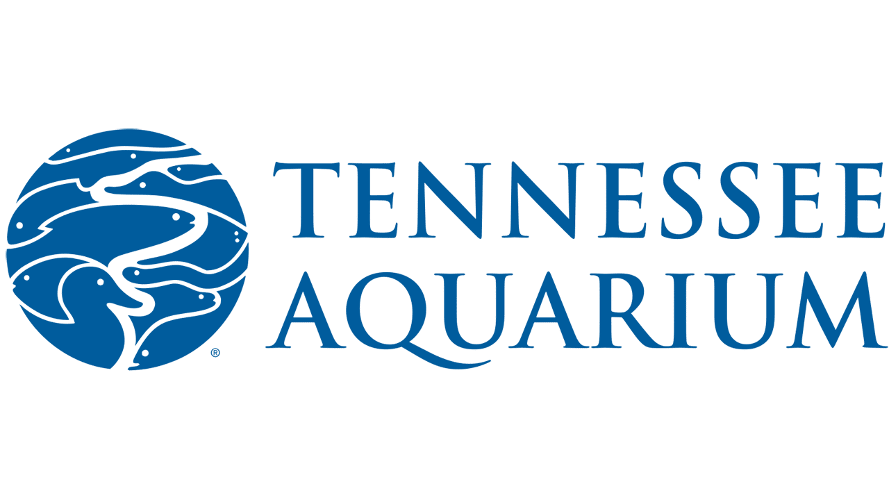 Tennessee Aquarium