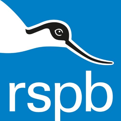 The Royal Society for the Protection of Birds (RSPB)