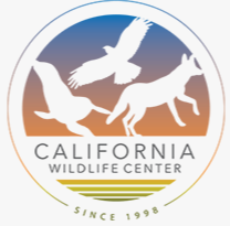 California Wildlife Center