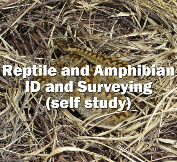 Reptile and Amphibian online courses for ecologists Conservation Careers