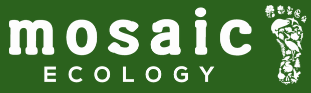 Mosaic Ecology