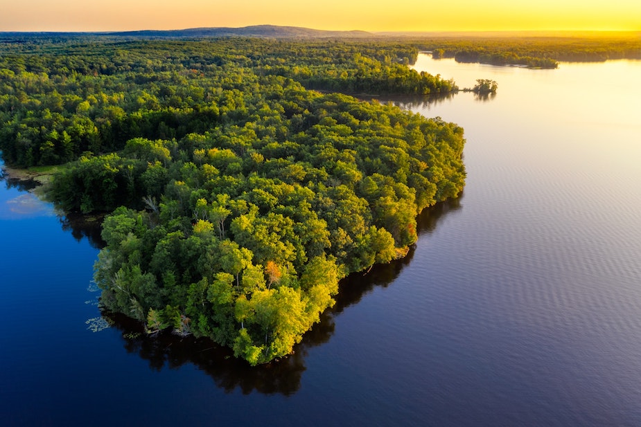 A forested point of land surrounded by a body of water