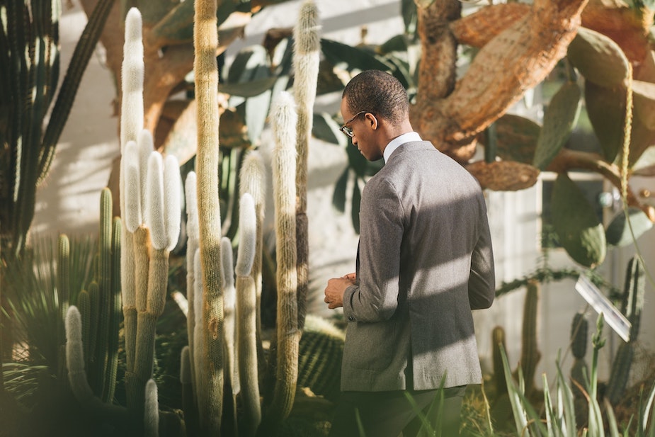 A botanist standing amongst a collection of cacti.