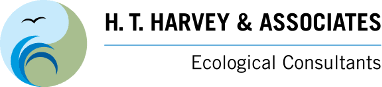 Ht Harvey & Associate