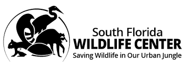 South Florida Wildlife Center