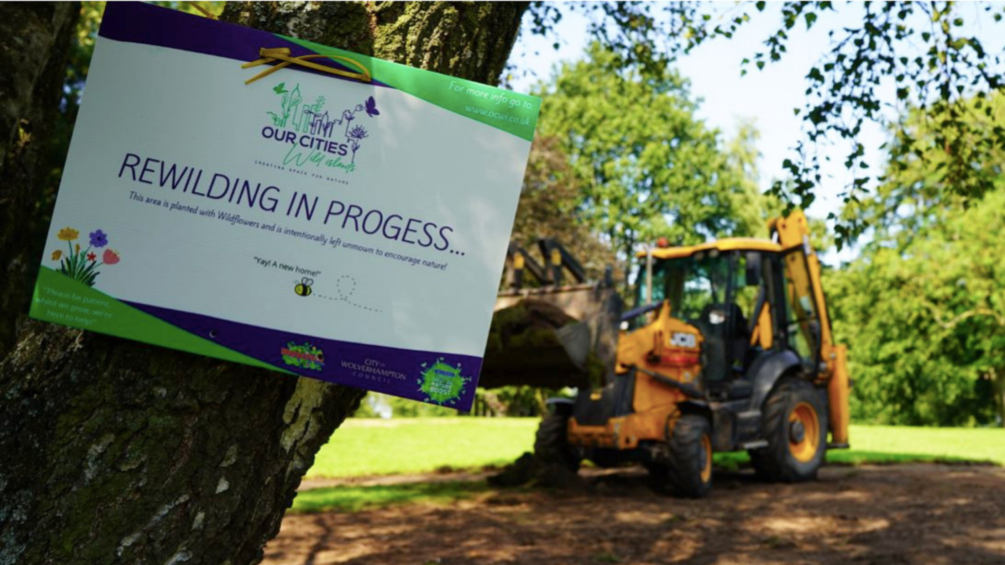 A picture taken at Wednesfield Park, in the West Midlands, with a yellow digger in the background, and a sign attached to a tree trunk that reads rewilding in progress.