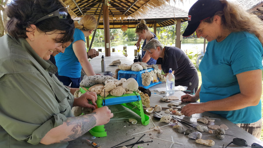 Researchers studying shells, rocks etc 