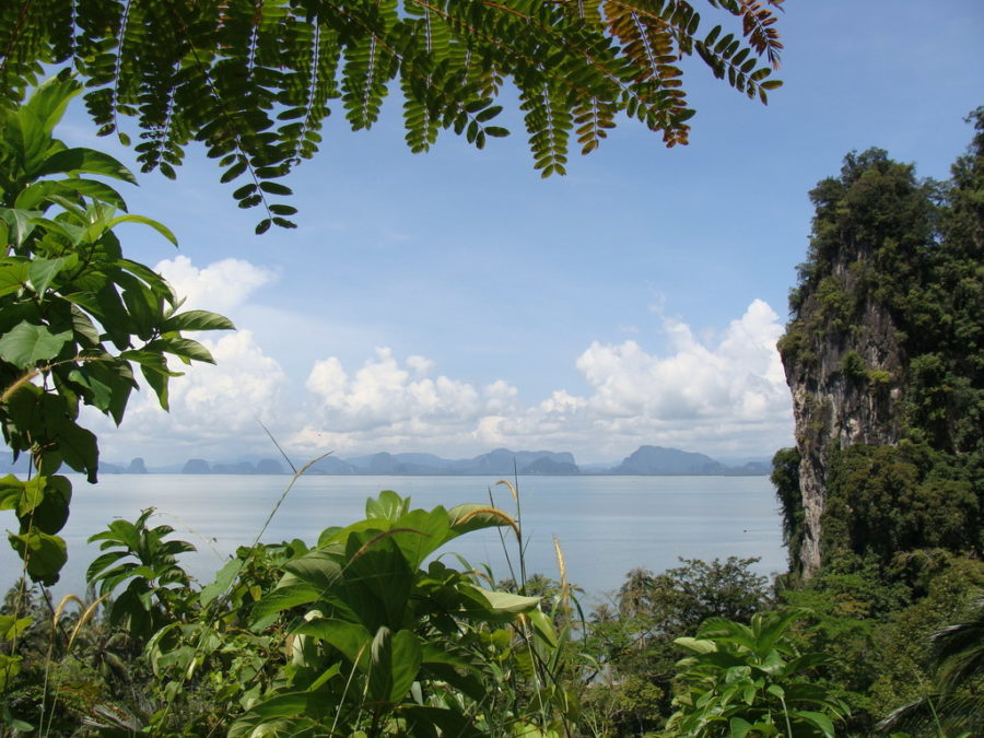 Photo looking out through foliage over the sea at Phang Nga