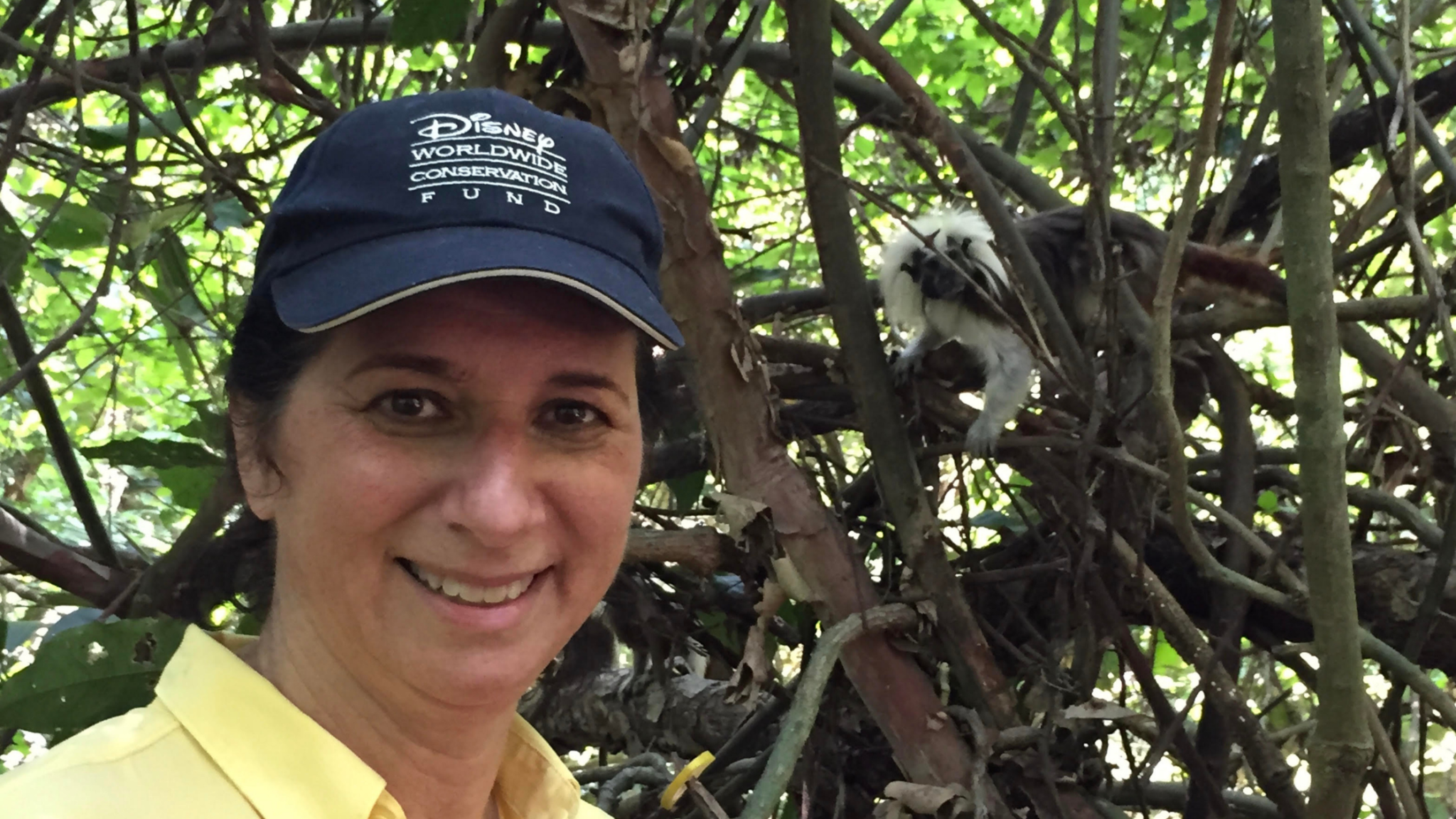 Primatologist Anne Savage with cotton-top tamarin