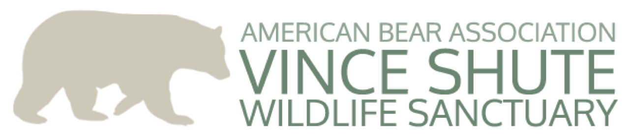 American Bear Association