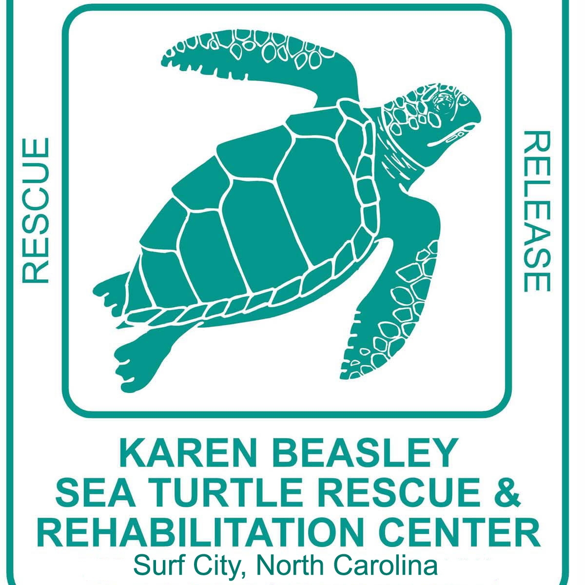 Karen Beasley Sea Turtle Rescue and Rehabilitation Center