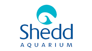 Shedd Aquarium