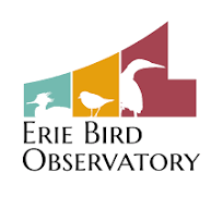 Erie Bird Observatory