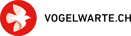The logo of the Swiss Ornithological Institute. Follow this guide to learn how to become an ornithologist and study birds.