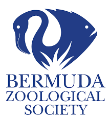The Bermuda Zoological Society