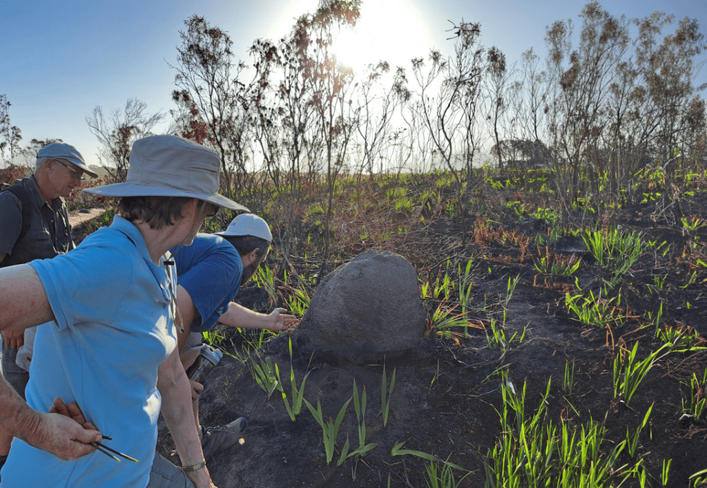 Internship Abroad South Africa: Research in Nature Conservation ...