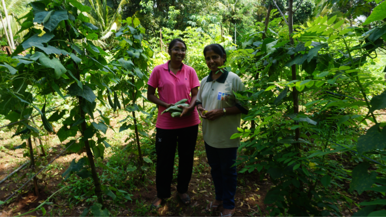 Dhanu stands in a field in Sri Lanka, she is holding vegetables in her hand and is smiling at the camera.