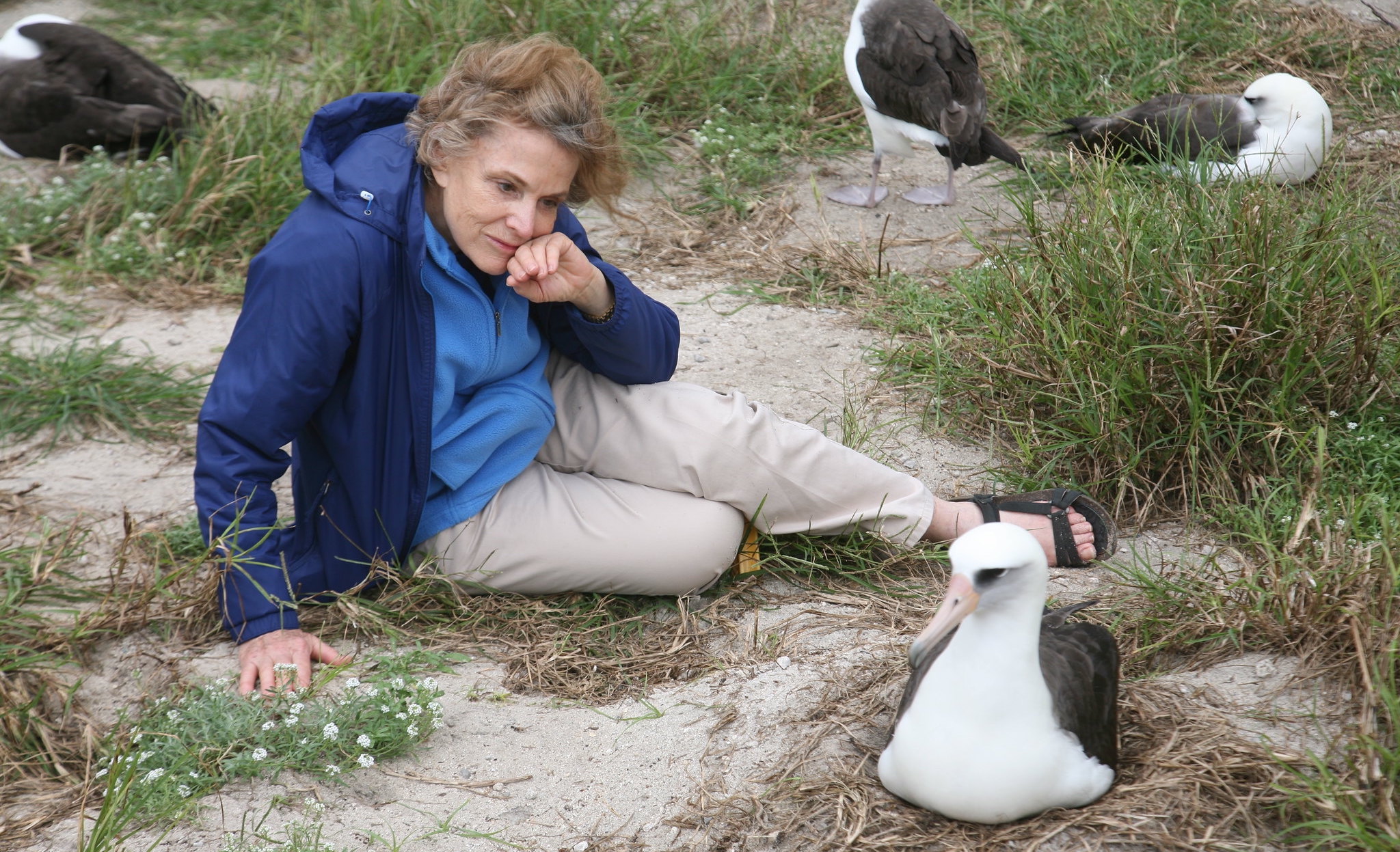 A woman, oceanographer Dr Sylvia Earle, sitting on the ground beside a Laysan Albatross.