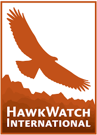 HawkWatch International