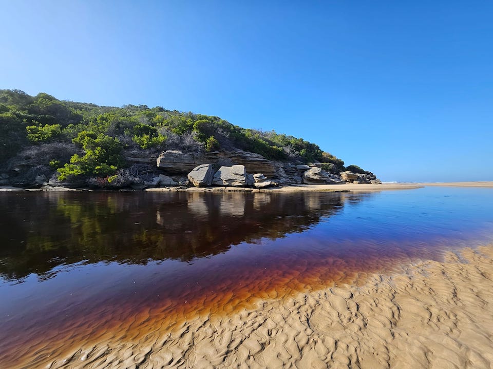 Located in the heart of the Southern Cape, the Groot Brak Estuary is a vital ecosystem.