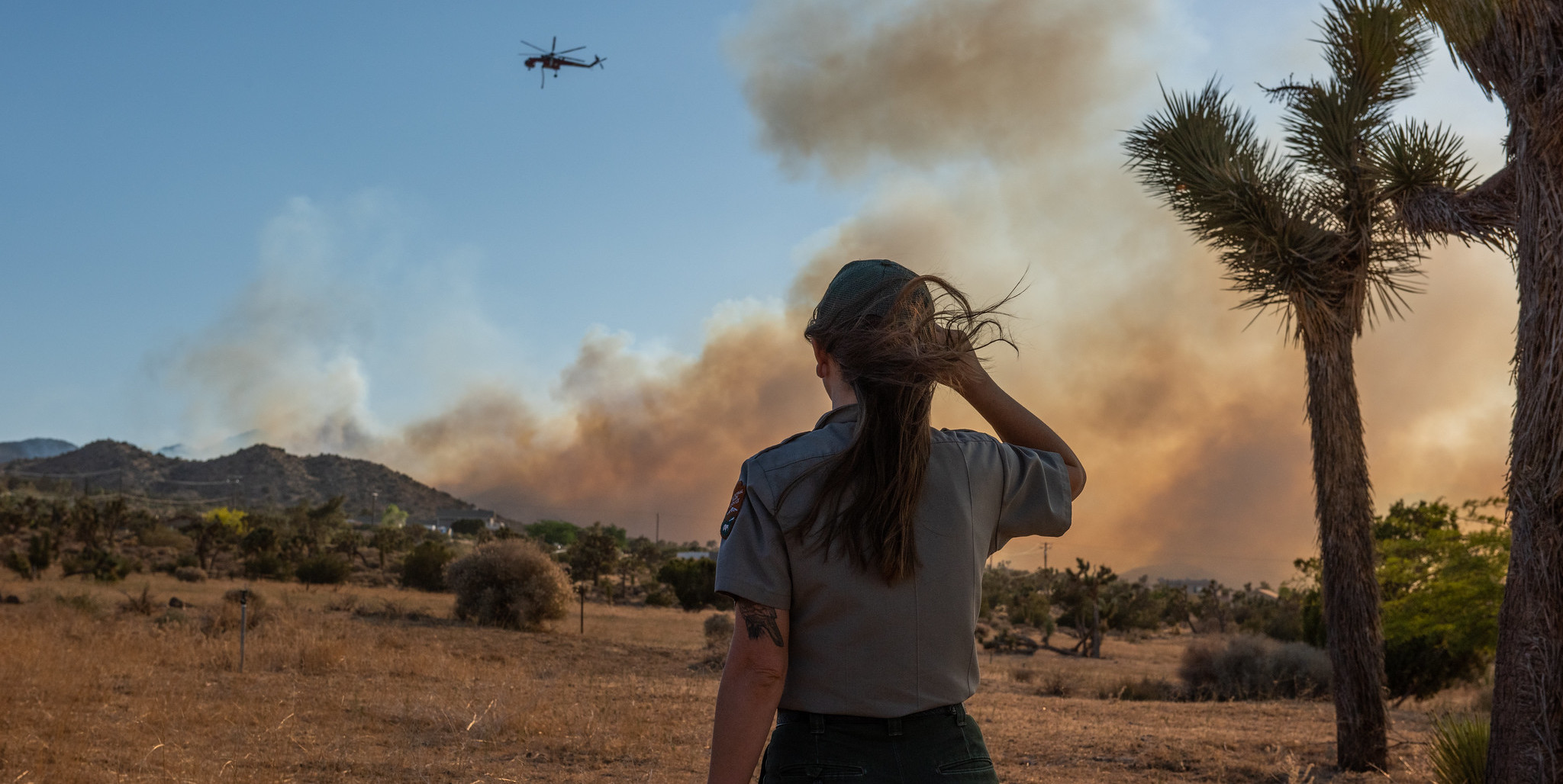 A female forest ranger standing with her back to the camera, looking out over a smoky landscape with a helicopter flying overhead.
