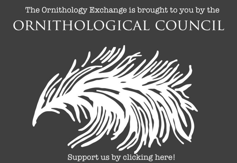 MS student Avian mortality in - OCAD2.f023c466421f784a5a2c9882514a913b 