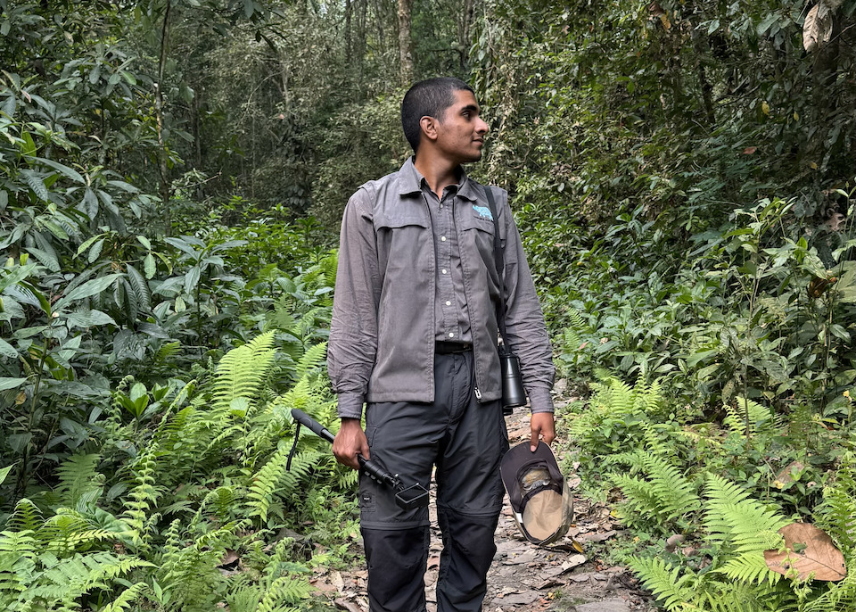 A wildlife conservation writer looks for inspiration for his next story in a forest.