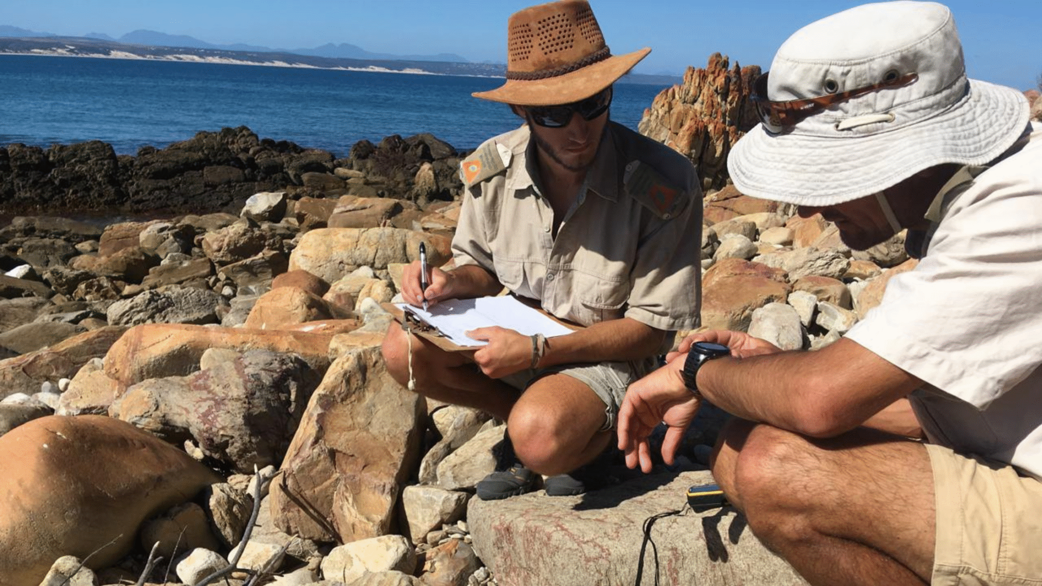 A man monitoring Black Oystercatcher nest sites at the Fransmanshoek Conservancy ensuring the preservation of local bird species.