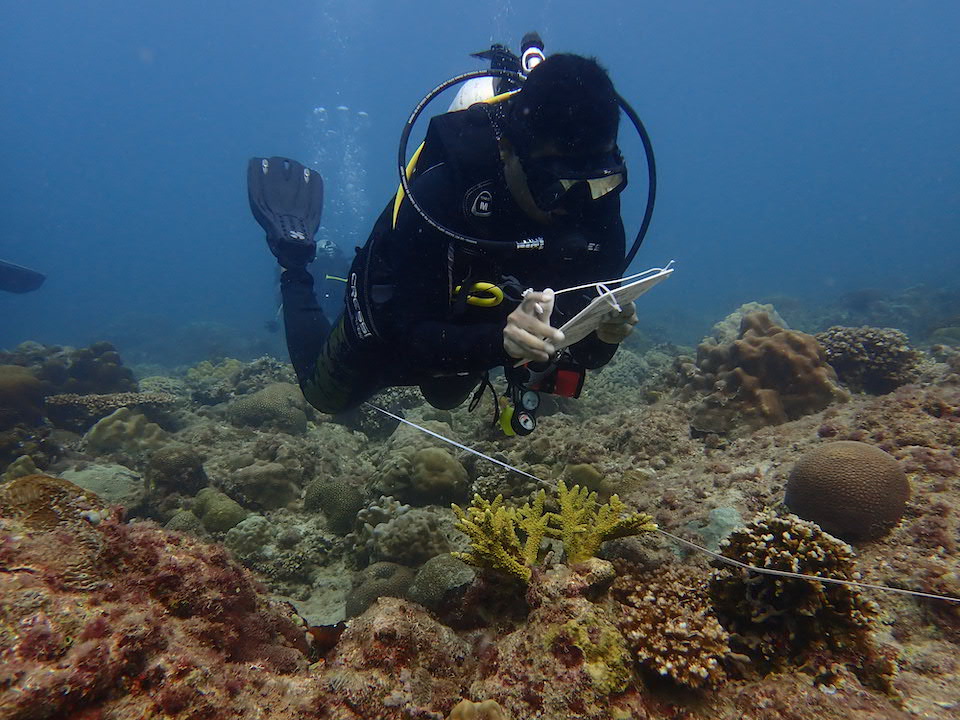 A conservationist doing research while scuba diving.