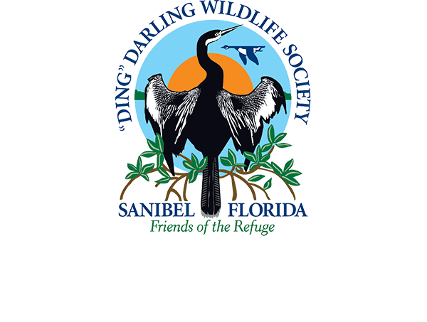 "Ding" Darling Wildlife Society