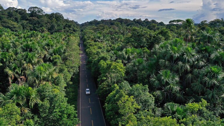 A highway crossing a rainforest.