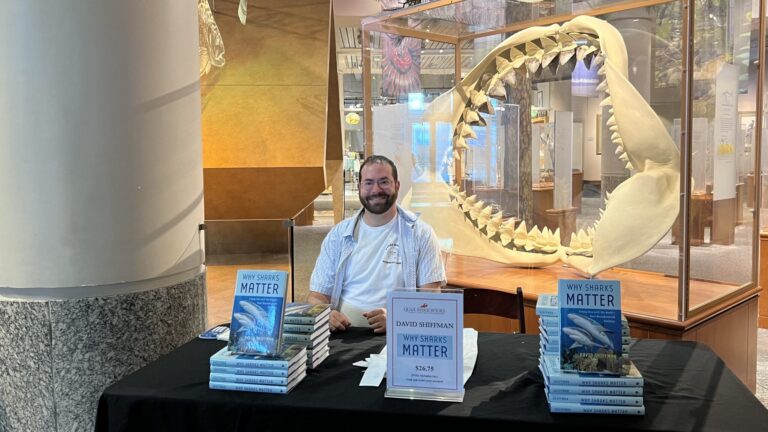 A marine conservation biologist promoting his book on shark conservation and policy.