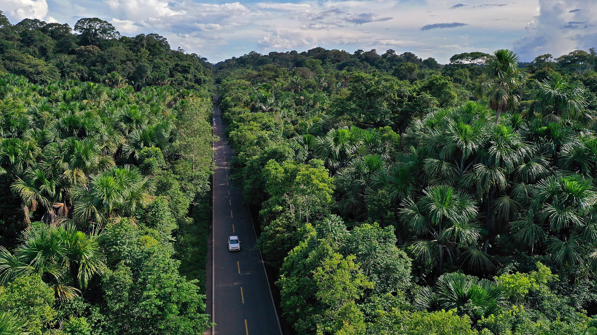 A highway crossing a rainforest.