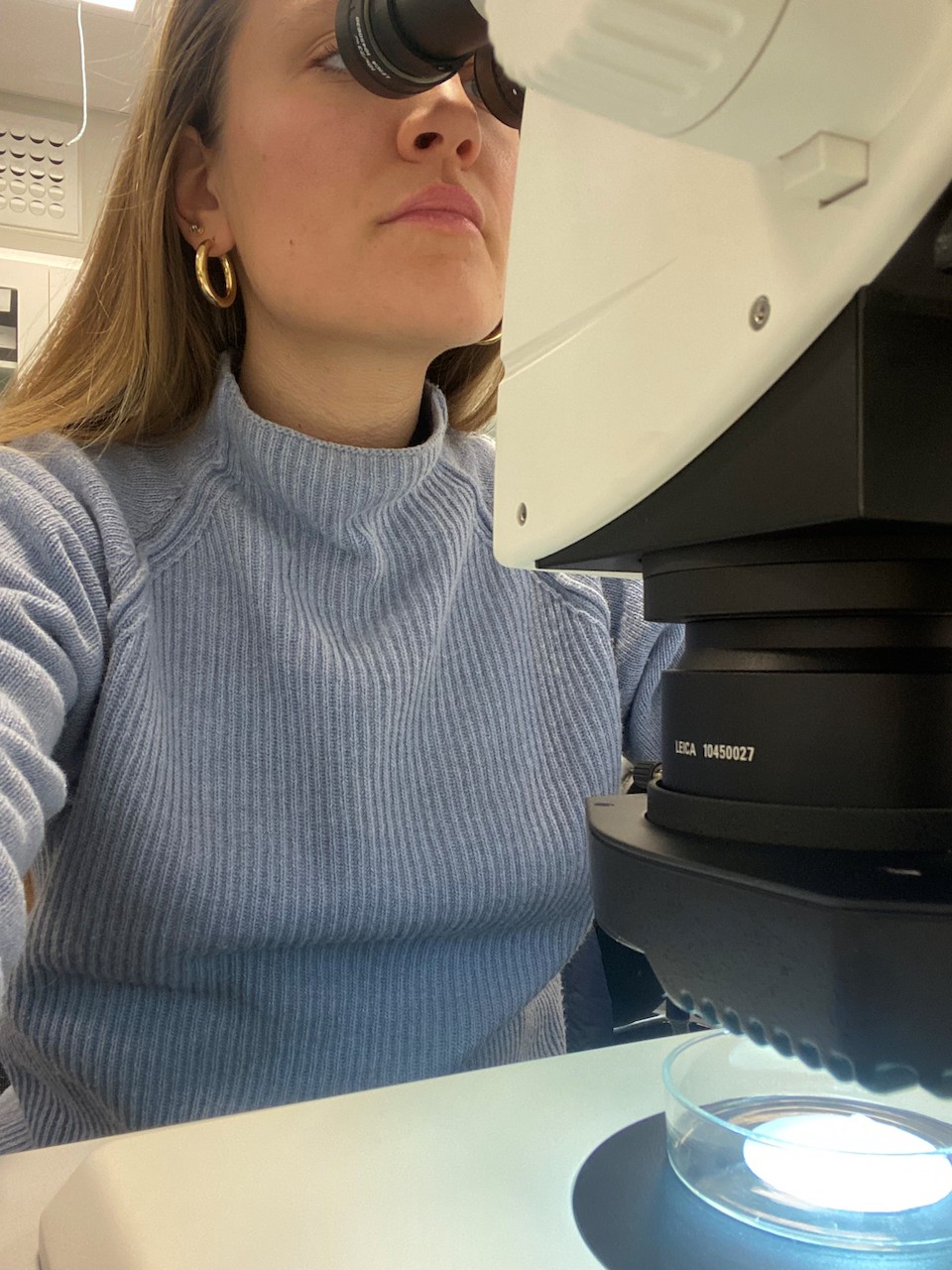 A conservationist examining environmental samples under a microscope to identify microplastic fibres.
