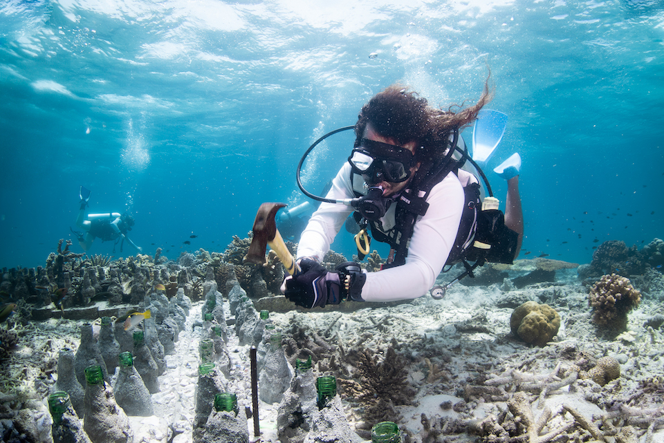 A diver underwater wearing diving gear, holding a hammer toward a group of bottles on the seafloor, engaging in marine conservation work.