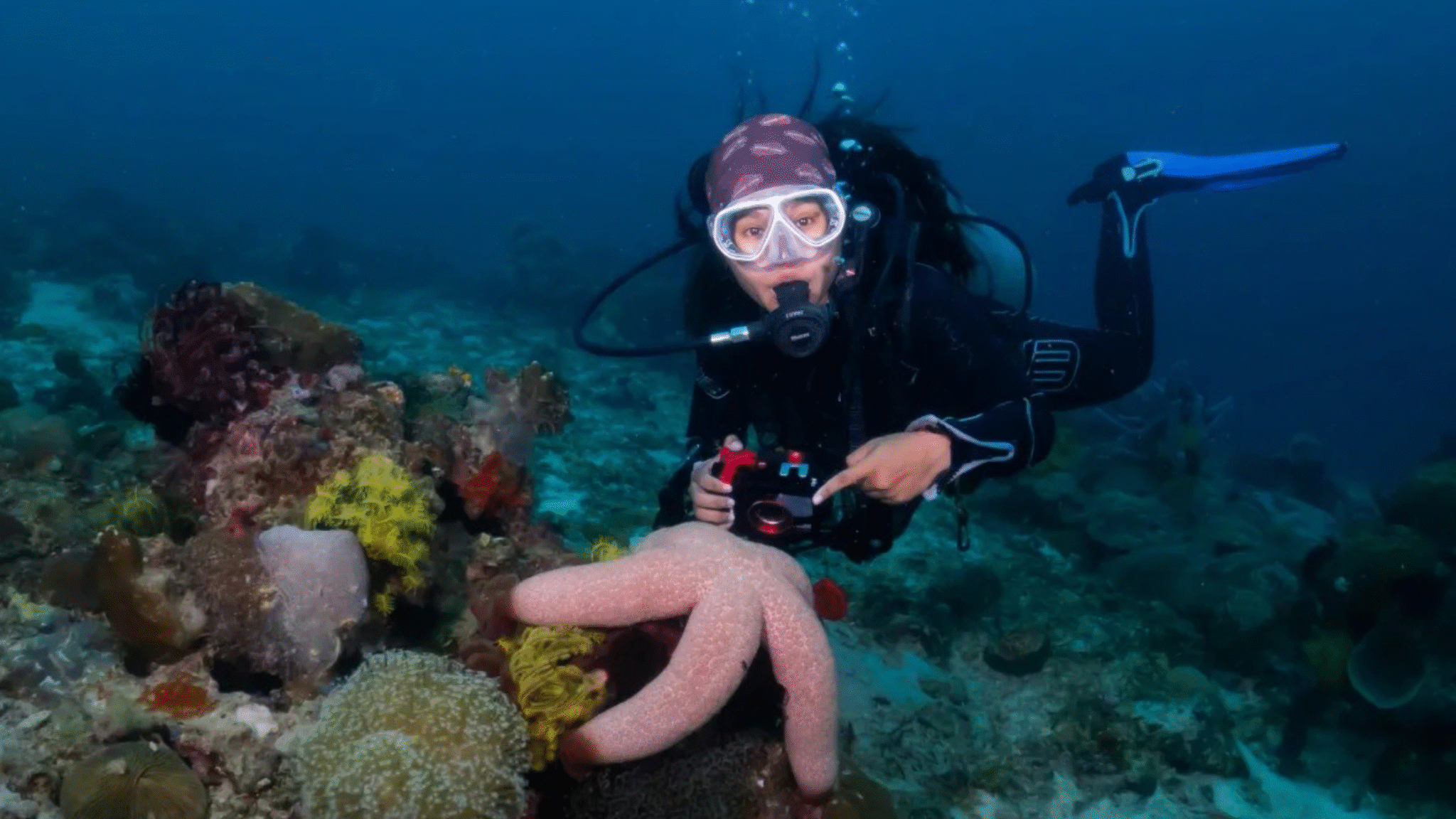 A scuba diver in full gear and holding a camera, points at a large Thromidia starfish on a coral reef.