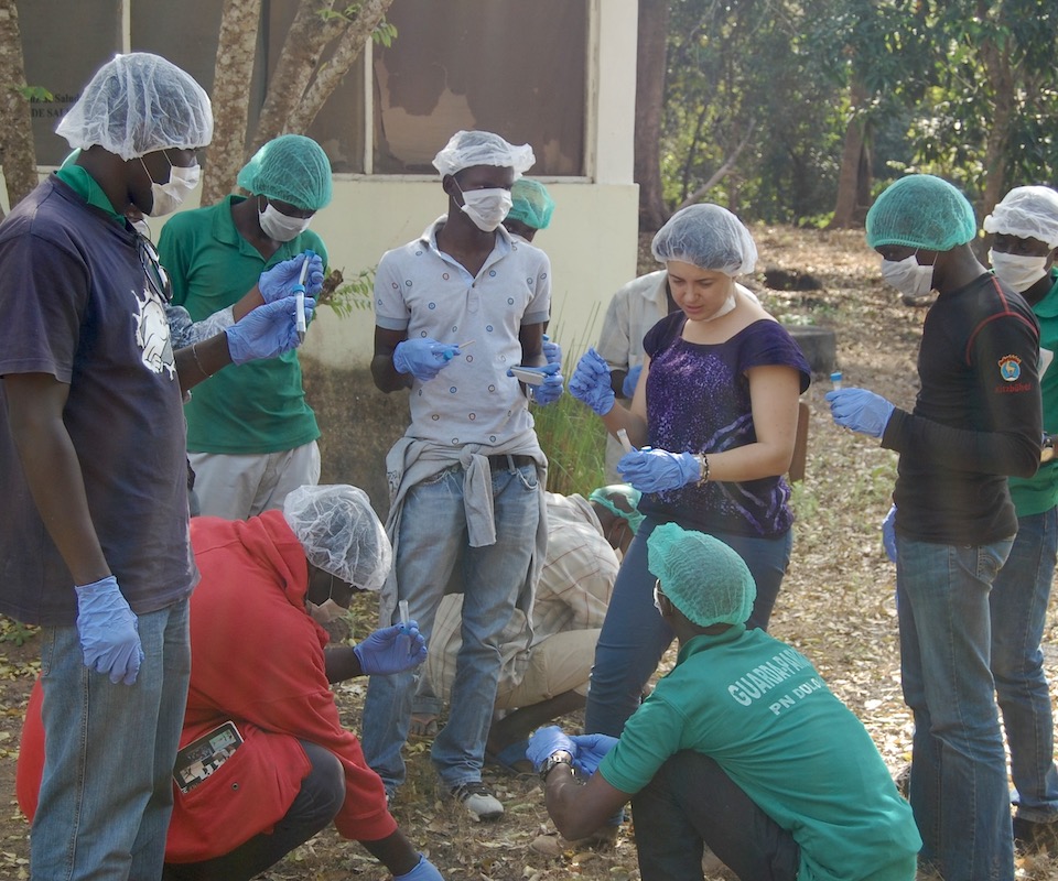 A female conservation geneticist and primatologist leading a group workshop.