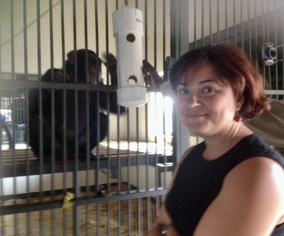 A female conservation geneticist and primatologist standing next to a cage with a primate inside.