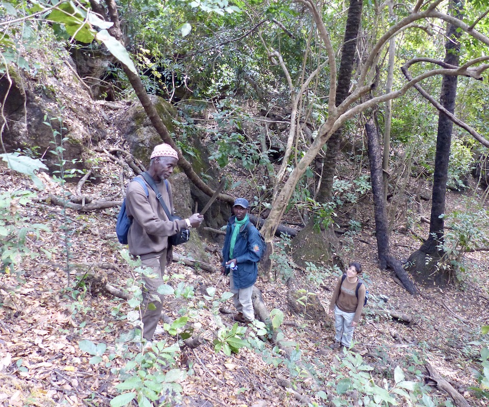 A female conservation geneticist and primatologist standing in the woods with her two male guides.