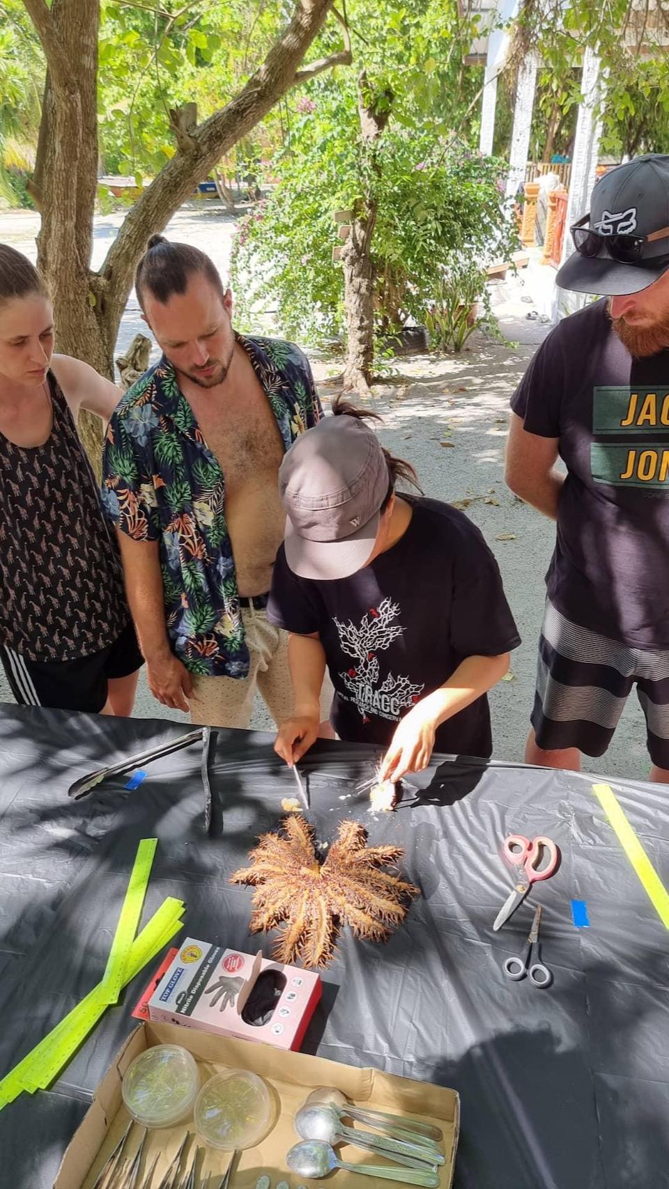 A group of people watch as a woman dissects a Crown-of-Thorns starfish on a table, surrounded by scientific tools.